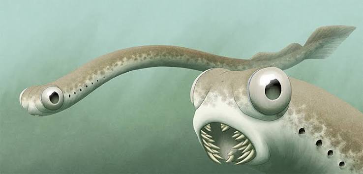 Paleontology