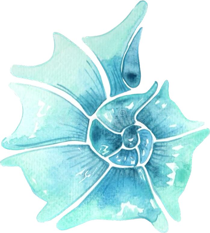 Nautilus Community