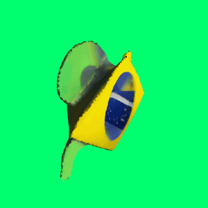 Comunidade Brasil