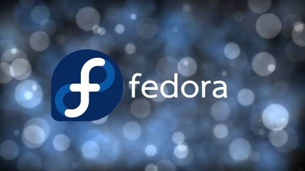 Fluxer Fedora