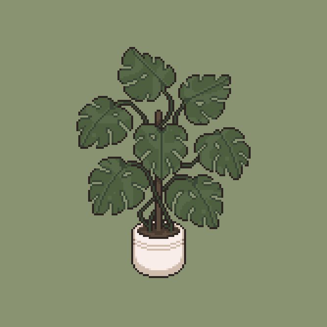 Plants 🪴