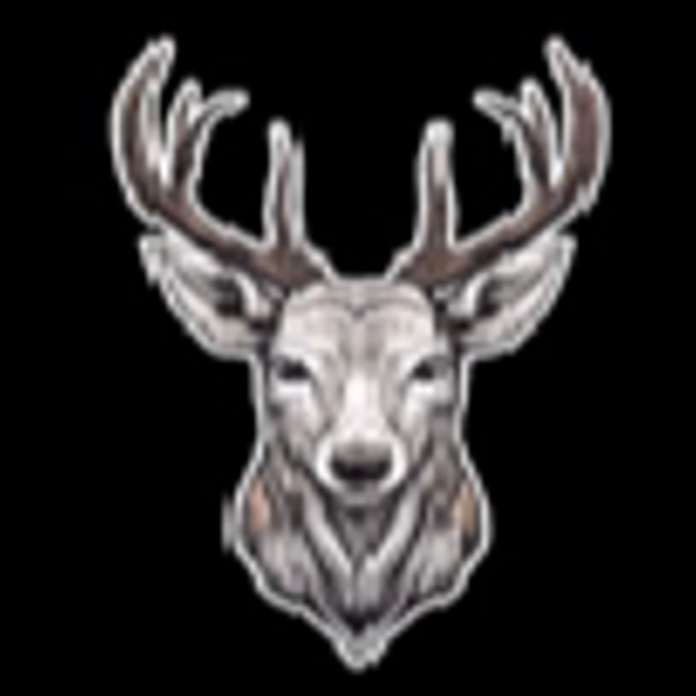 N.O. (Right-Wing)