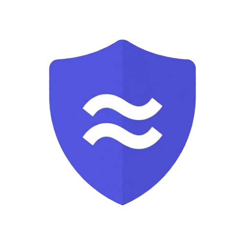 Fluxer Security